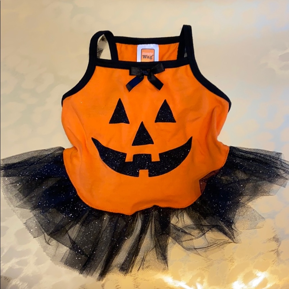 Glitter Pumpkin Puppy Costume